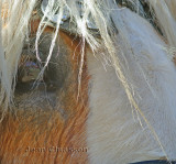Close up