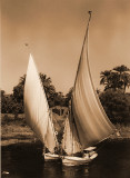 Feluccas on the Nile Sepia 