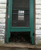 green door with pine cones...