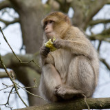 DSC_9431.jpg