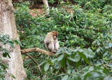 DSCF0905.jpg