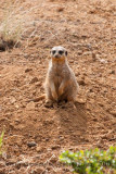 DSC_7568.jpg