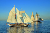 Amazing Grace with Lynx in Background