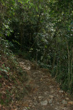 Climbing Mount Kinabalu