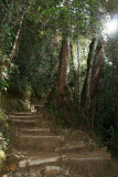 Climbing Mount Kinabalu