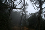 Climbing Mount Kinabalu