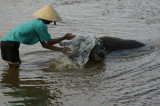 washing