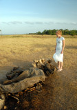 Elephant Remains Kaudulla N.P. Sri Lanka