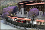 Punakha Dzong Bhutan