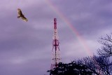 Rainbow at My Backyard