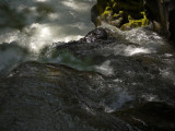  Rogue River Gorge, Oregon, 2009