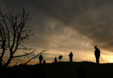 Dogs Night Out, El Malpais, near Gallup, New Mexico, 2007