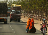 Road Risk, Rajasthan, India, 2008