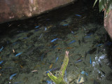 IMG_2784.JPG