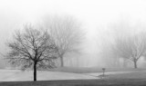 Misty Morning