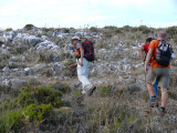 Montalate