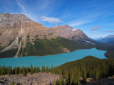 Gorgeous Peyto Lake