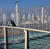 Resting at the port...