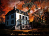 Nature is a haunted house, but Art is a house that tries to be haunted.