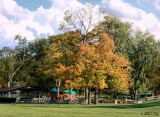 Autumn Playground