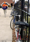 Bear with Bikes