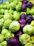 Cabbage Cascade