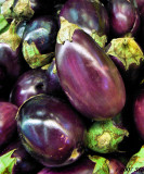Eggplant