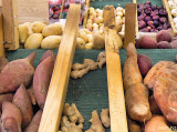 Timbers and Tubers