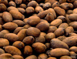 Nuts in Shells