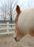 Gazing at Greener Grass