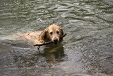 max (7 yrs) at the chattahoochee river