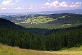 view from Rusinowa glade