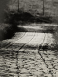all roads lead to Rome?