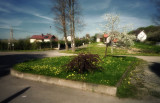 somewhere in Poland, morning.....