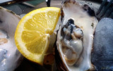taste of oyster