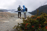 Grey Glacier  2 - Torres del Paine N.P.jpg