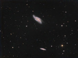 NGC 4088 (Arp 018)