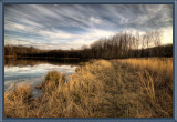 _DSC0886s1000.jpg