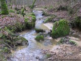 Little Switserland - La 'Petite Suisse' - Klein Zwitserland (Luxembourg)