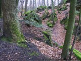 Little Switserland - La 'Petite Suisse' - Klein Zwitserland (Luxembourg)