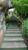 Stairway to heaven: These 200+ steps get you to the best vantage point of the chocolate hills in Bohol