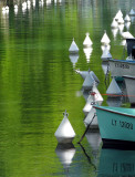 les eaux vertes