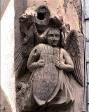 Lange au bouclier