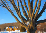 Les chalets de la station Duchesnay