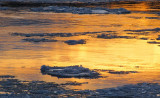 fleuve doré de janvier
