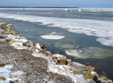 pche sur la glace sur la Rimouski