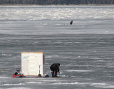 pche sur glace