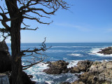 Pebble beach state park