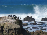 le rocher aux cormorans
