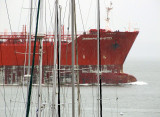 Singapore star